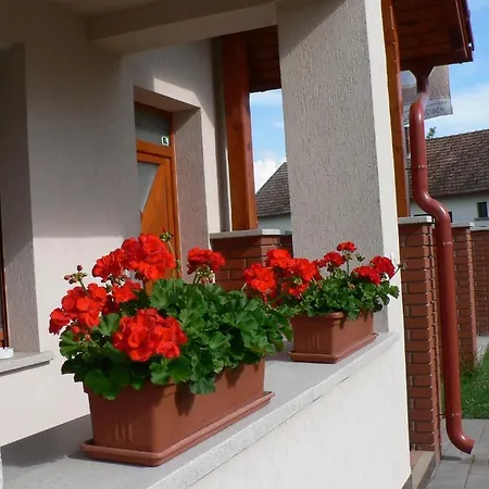 Oazis Apartmanok Mórahalom Extérieur photo