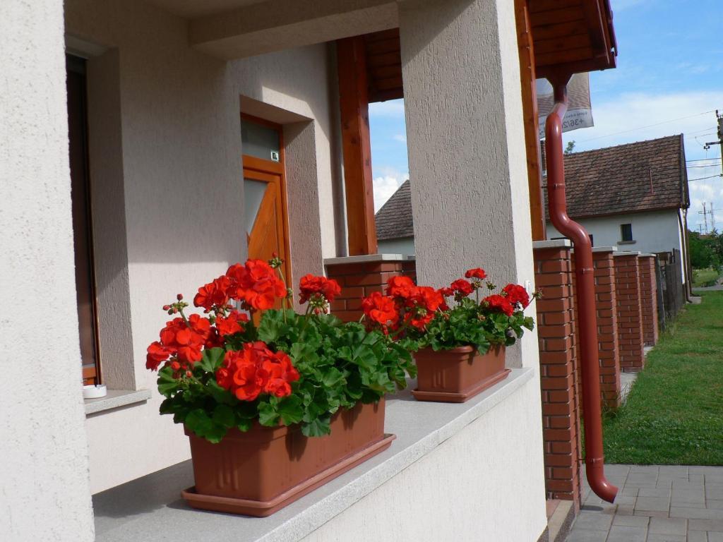 Appartement Oazis Mórahalom